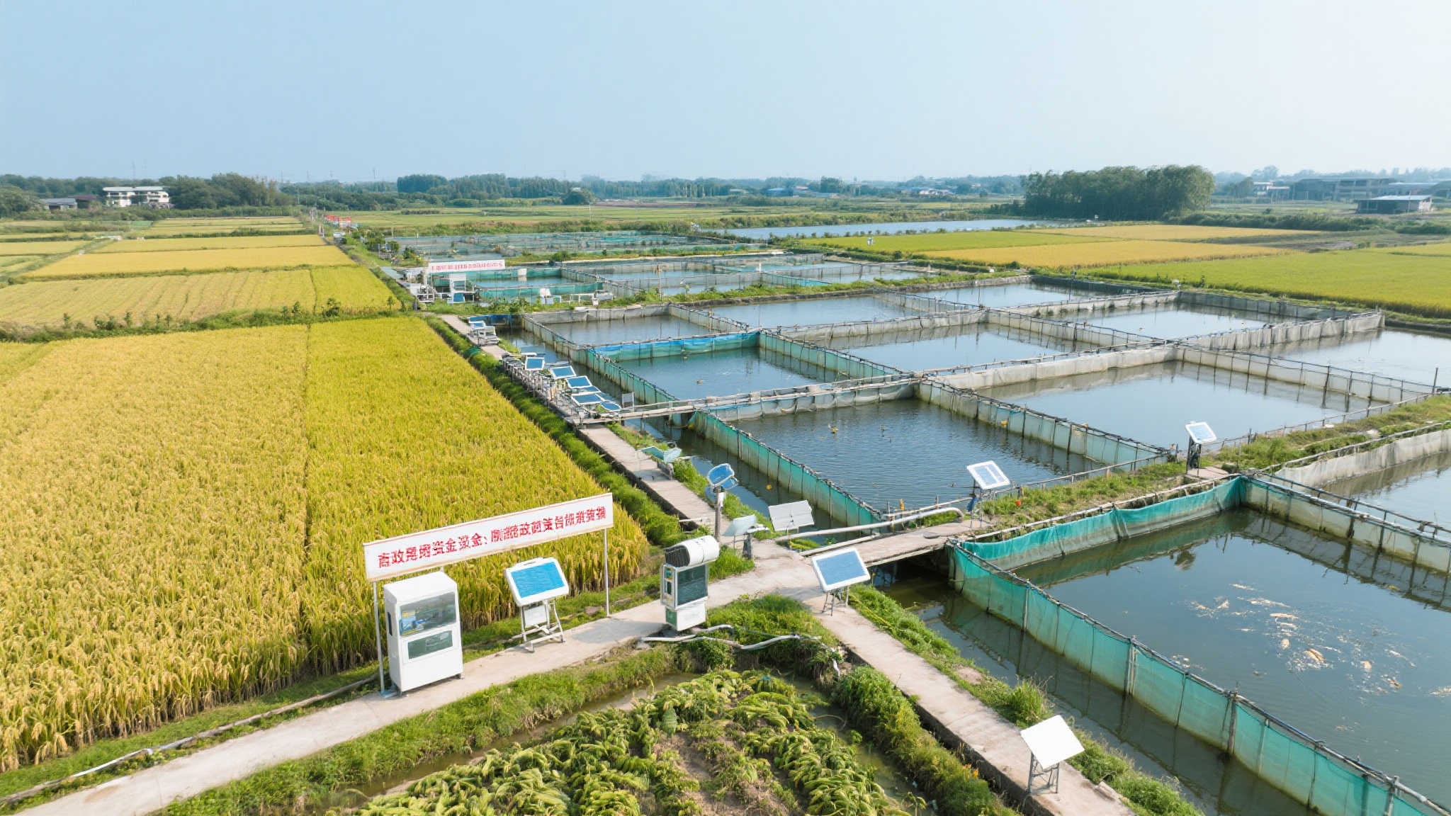 谷城:联动治水 激发乡村振兴新活力 谷城:联动治水 激发乡村振兴新活力